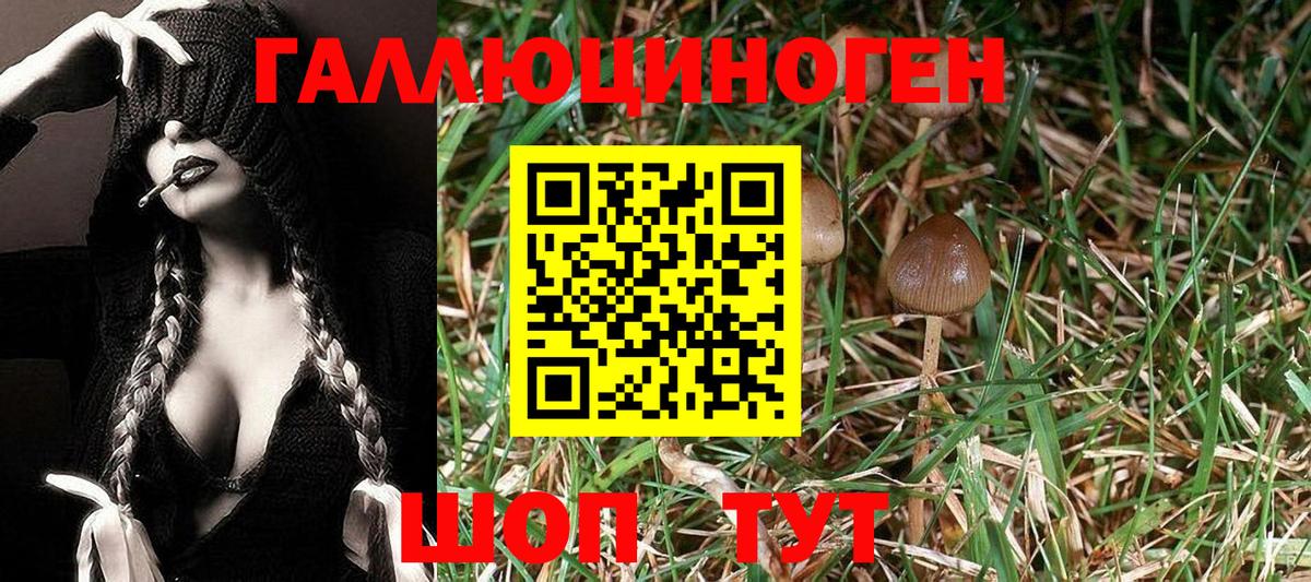 Псилоцибиновые грибы прущие грибы  Вход с VPN  купить наркотик  Богородск  Галлюциногенные грибы прущие грибы 