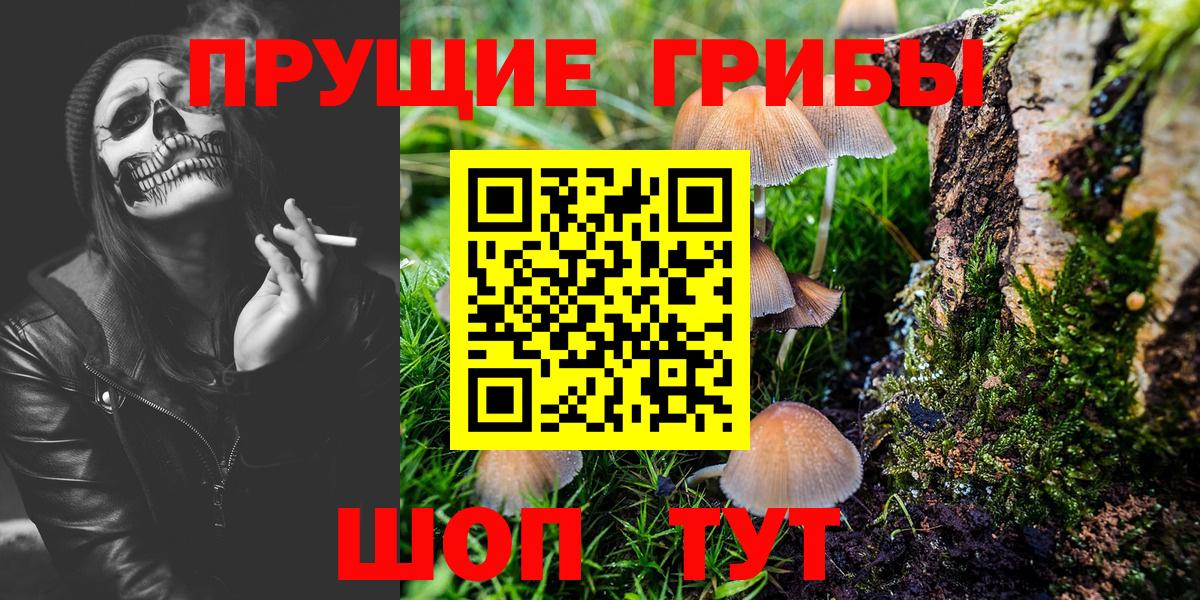 Богородск  Вход с VPN  КОКАИН  МЕФ   ГАШИШ  LSD-25 