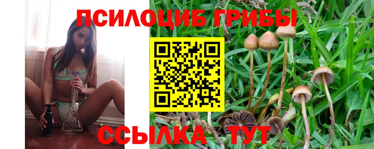 Галлюциногенные грибы ЛСД Богородск