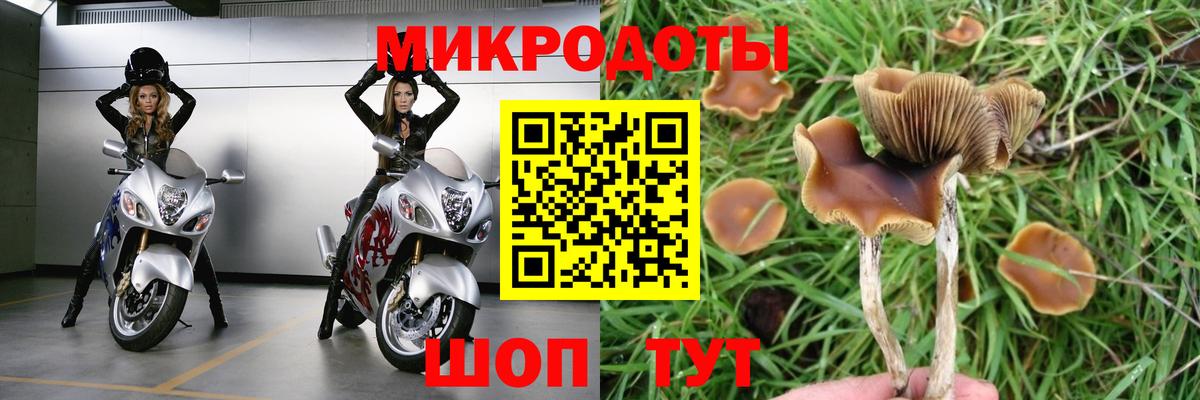 Каннабис Богородск