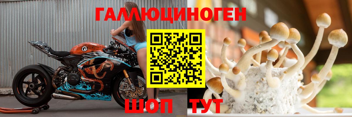 Галлюциногенные грибы мицелий  Богородск  Галлюциногенные грибы Cubensis 